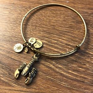 Alex and Ani charm bracelet